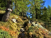 20 Bel sentiero in abetaia ben segnalato 